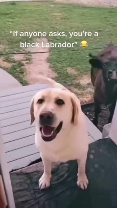 Hey, mom, this is my new friend 