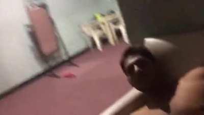 Wife doing special workout with her trainer.