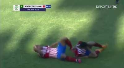 O cara matou dois coelhos com uma porrada só.