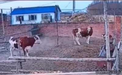 May be i meant for something else 