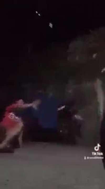 nightmare to most , heaven to some