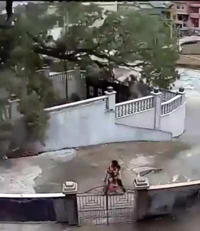 didn't come close to hitting them but definitely would scare anyone