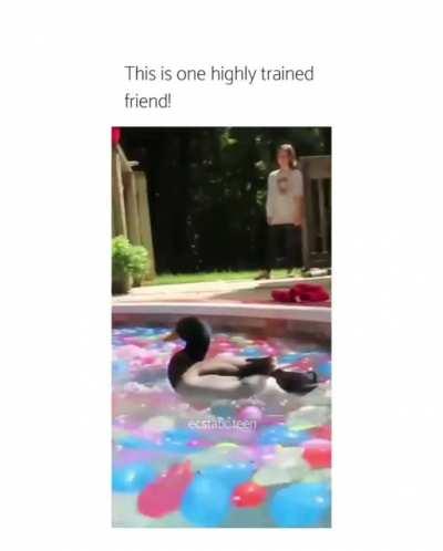 GARRY THE TITTY GRABBER!