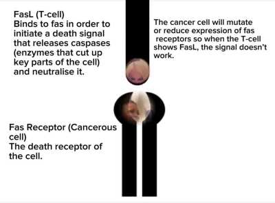 average educational video in Floptropica 💜💜💜