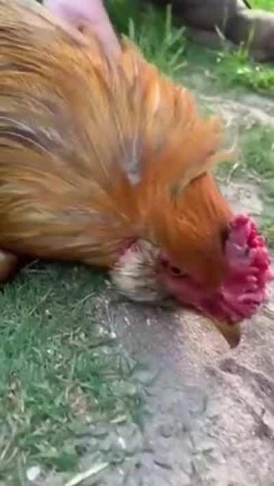 The attack in the end lol