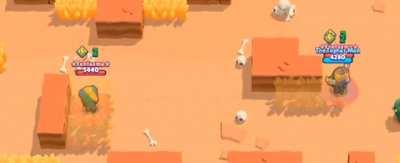 Cant outsmart the barley