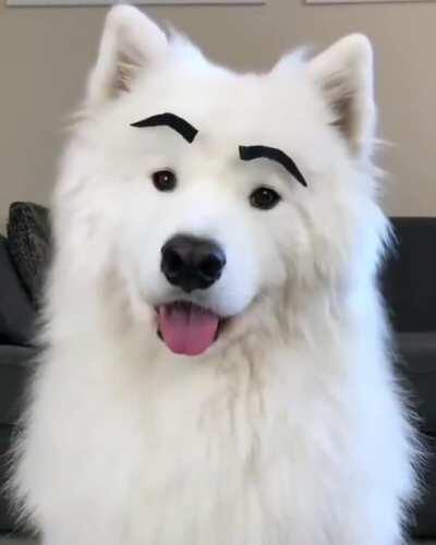 Novo nicho para os design de sobrancelhas