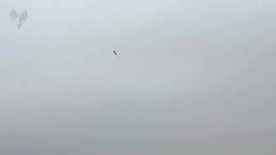 Israeli Puma AEV using a Carpet thermobaric mine clearing mortar in the Gaza Strip.