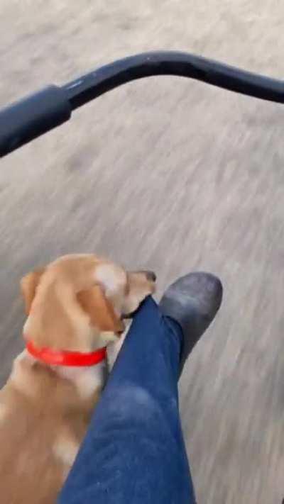 Bike ride? Hell yea!