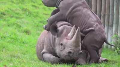 What did I do to deserve this