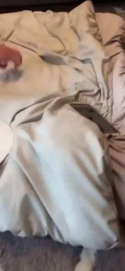 anybody want some butt noodles 😋