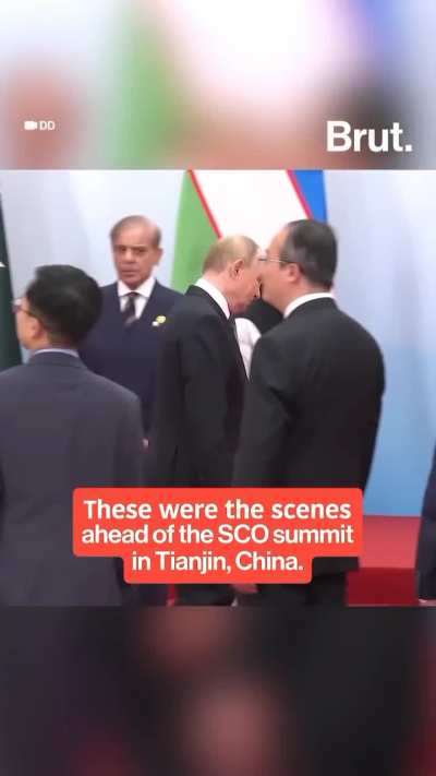 LOOK AT THE FACE !! 🤣🤣