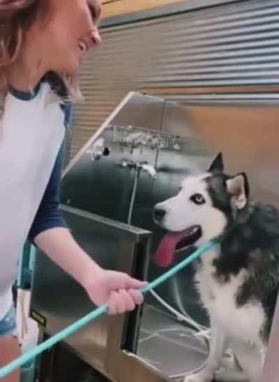 WOmAn LaUgHS WhiLE SLaUGhtEriNG hEr HUsKy