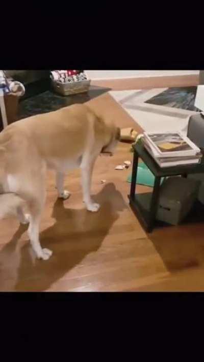 I don't deserve this no more