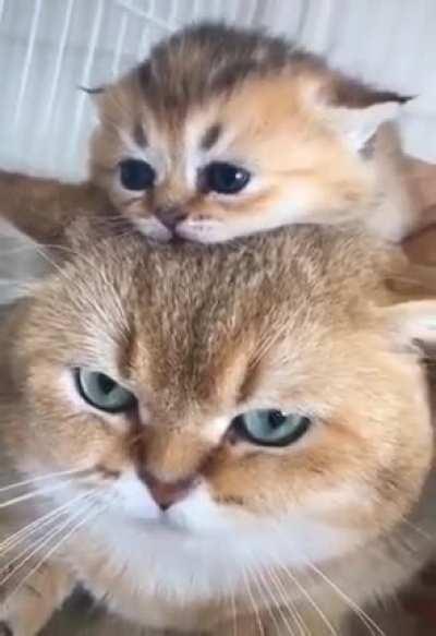 The beginning of fatherhood