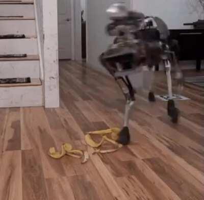 An optimistic robotic future world is beaten by nature (i.e. a banana).