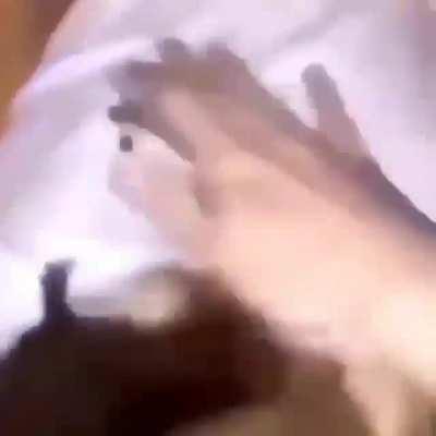 Here it is. Tech Deck