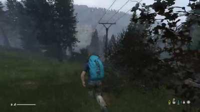 this was the scariest moment of my 500ish hours on dayZ