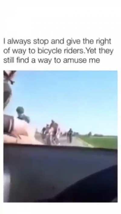 Why is this too funny? 🤣