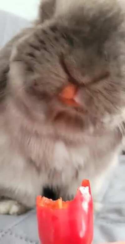 All natural bunny lipstick 💄😍