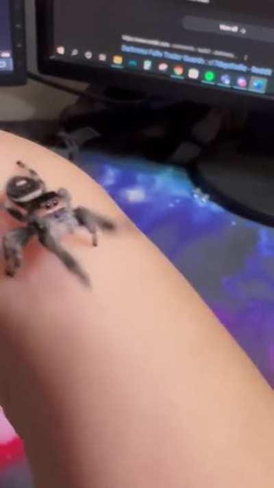 This reminds me of a certain someone