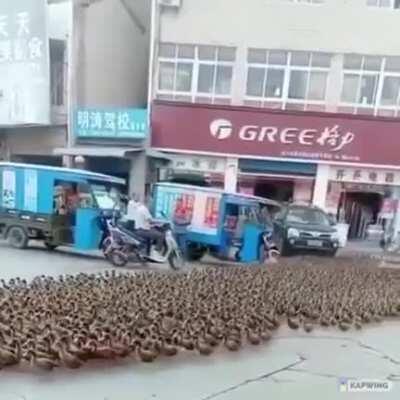 Node packages in my project...