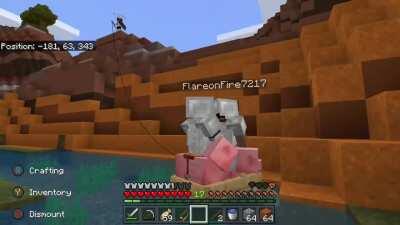 Wacky Bedrock Edition Physics?