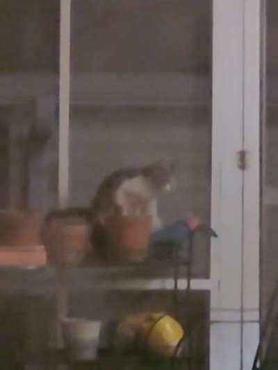 My flowers are never gonna grow.