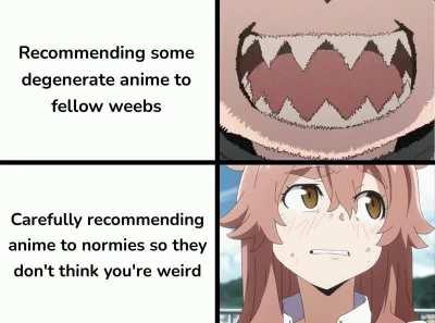 What shows would fit this?