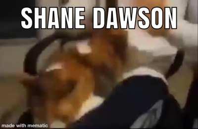 please tell me it this isreal