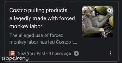 Not the monkeys 😢