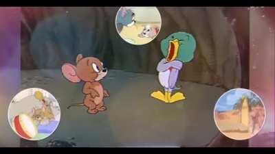 Watch till the end(sheeeeeeeeeeees)