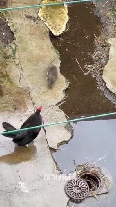 Неравный бой.