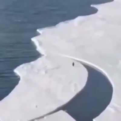 * Играет напряжённая музыка *