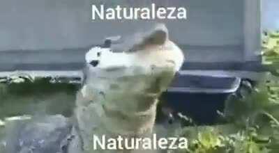 Naturaleza