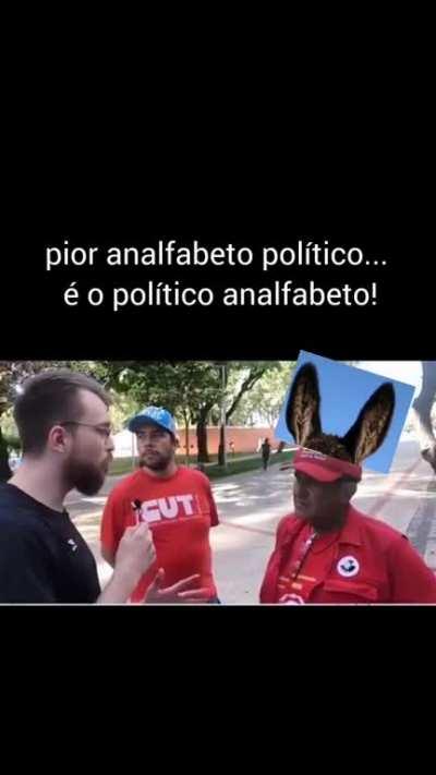 Burrice ou ingenuidade?