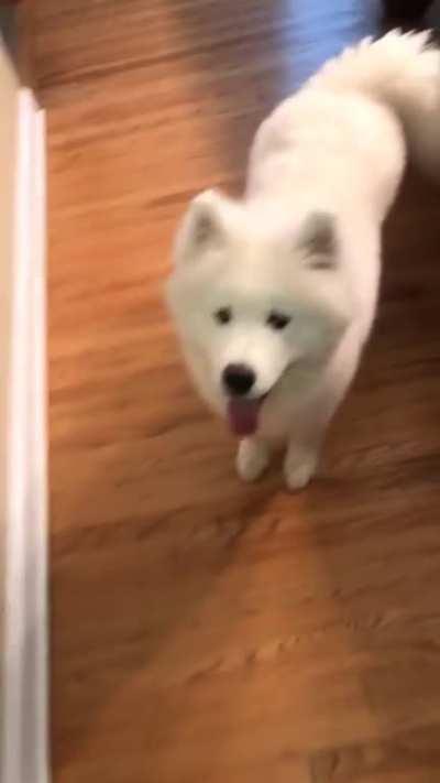 I was wondering why he was so quiet when I was playing a video game....