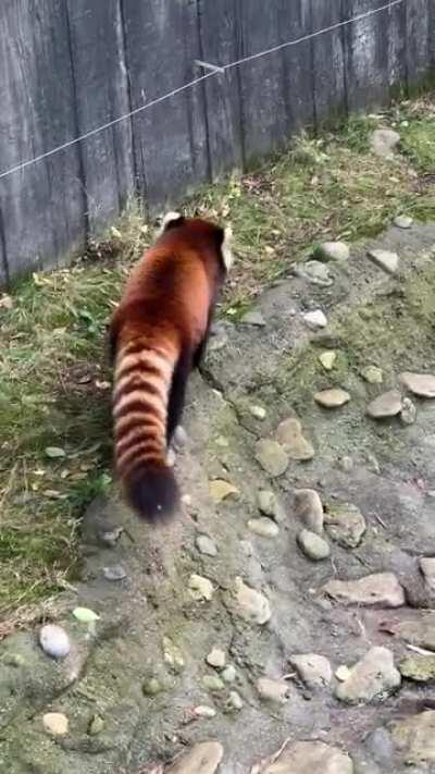 Checking out the area.