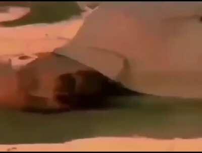 Se separó Daft Punk 😔