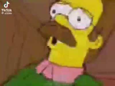 Losercity Simpsons lost media