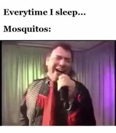 Now that spring time approaches.