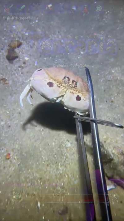 fishing in the glowing mushroom biome