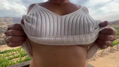 Isn't the vineyard beautiful