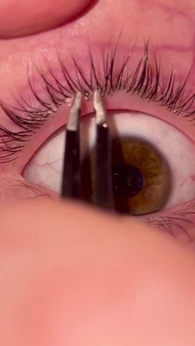 Plucking eyelashes 