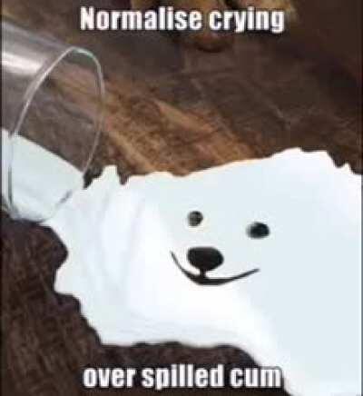 This video is the best