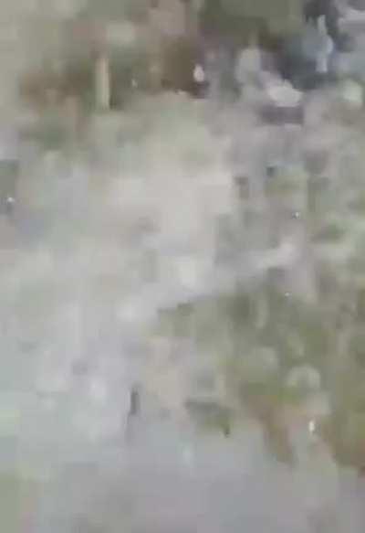 olha a situação do miniinoo😅🍺