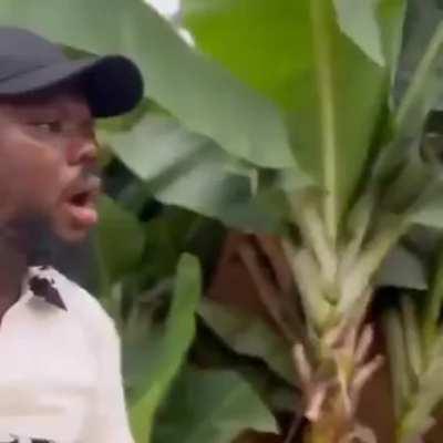 sometimes fight can turn wrong direction..