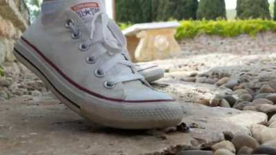 Squashed snail, stepped on again by me!