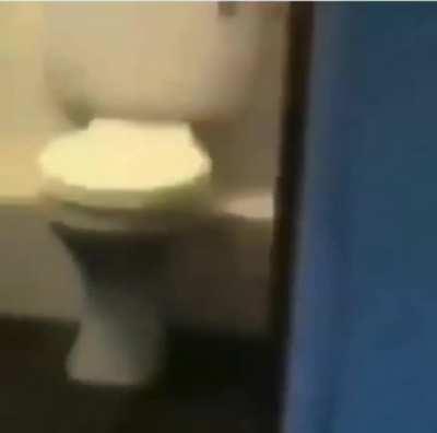 What could make that thing?