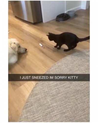 Sneeze that started war!